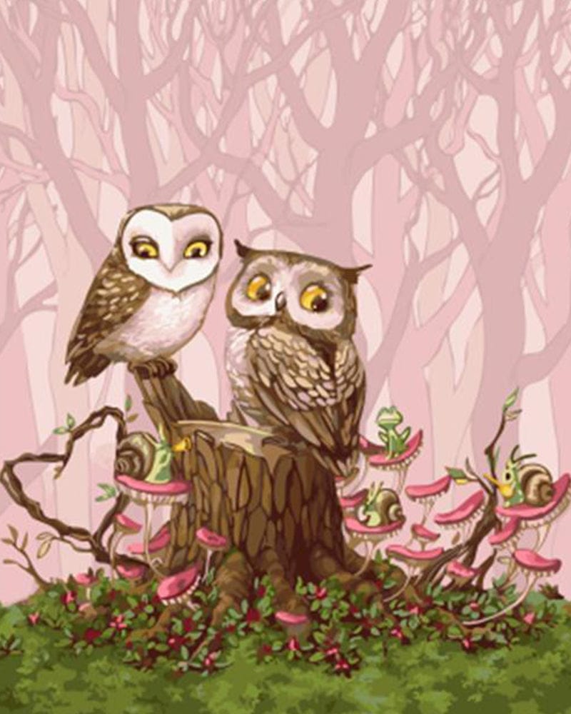 paintingnumberart Cartoon Owls – Birds Paint By Number