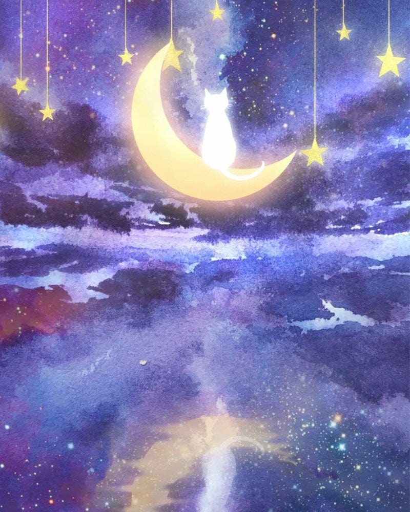paintingnumberart Cat In The Moon-Paint By Numbers Kit
