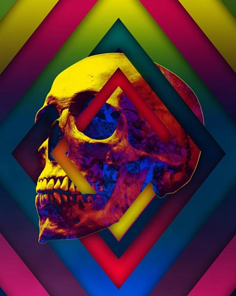 paintingnumberart Charley Harper Skull -Paint by Numbers Kit