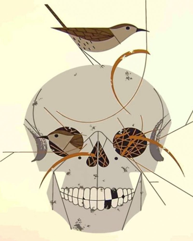 paintingnumberart Charley Harper Skull -Paint by Numbers Kit