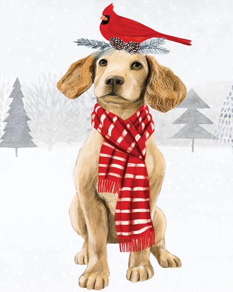 paintingnumberart Christmas Bird & Dog Ⅱ-Paint by Numbers Kit