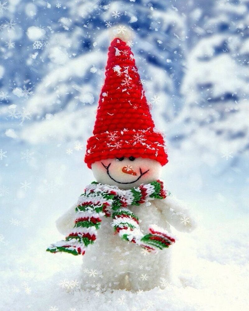 paintingnumberart Christmas Snowman–Paint By Number