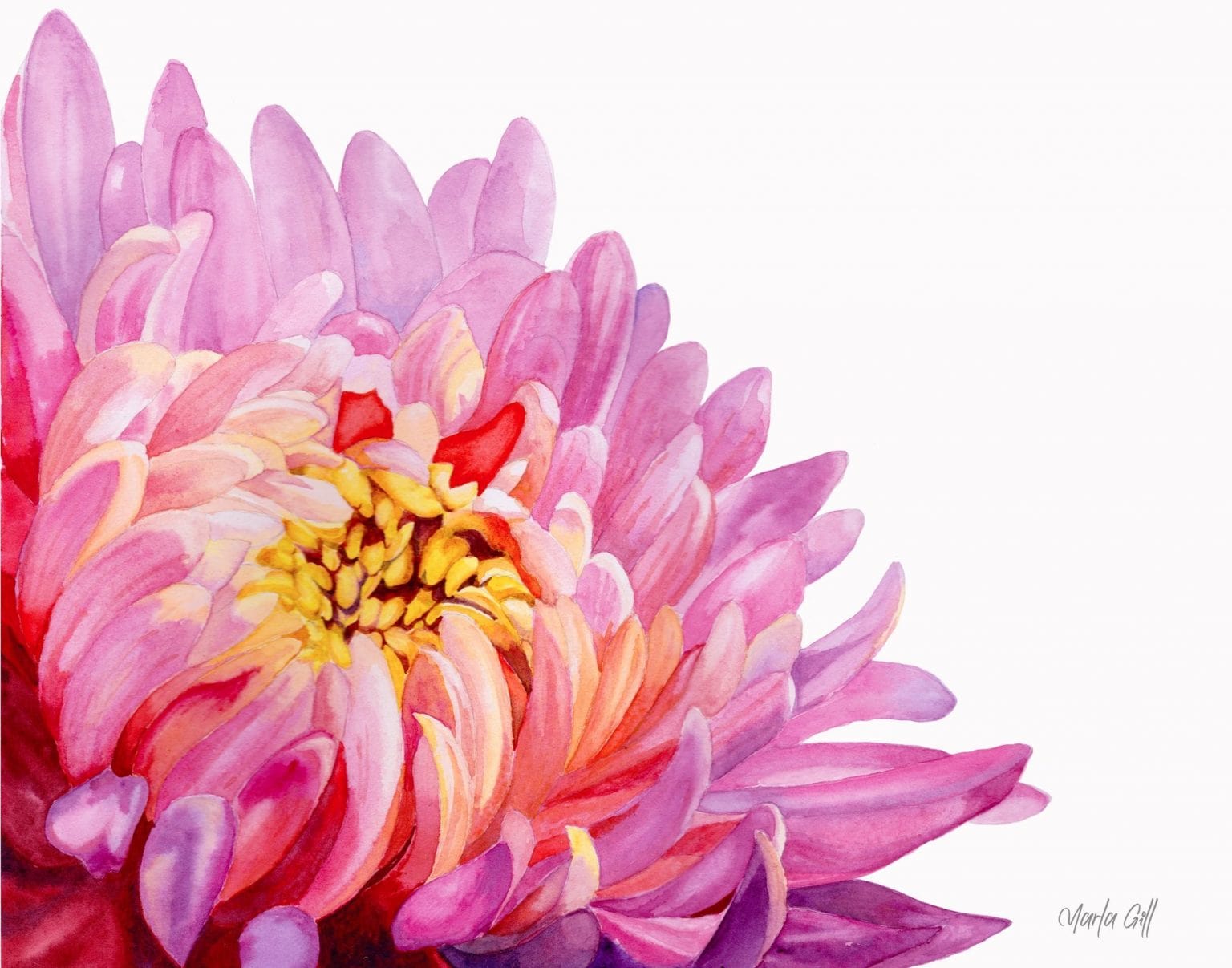 paintingnumberart Chrysanthemum Bloom – Paint By Numbers