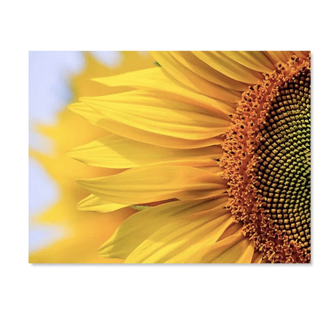 paintingnumberart Clear Sunflower – Flowers Paint By Numbers