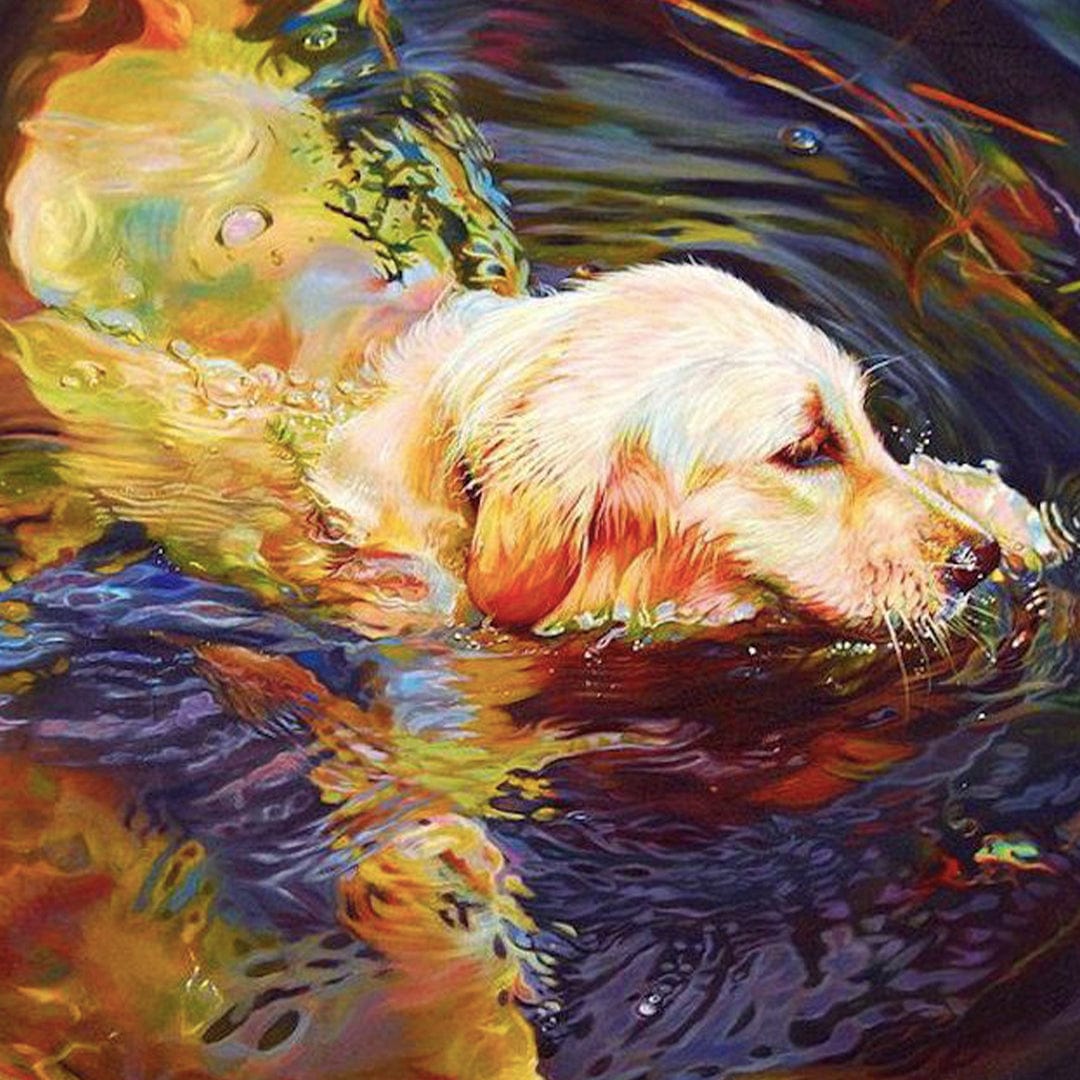 paintingnumberart Colorful dog-Mini DIY Paint by Numbers Kit