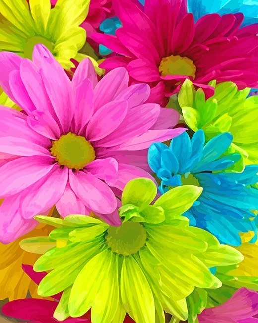 paintingnumberart Colorful Flowers – NEW Paint By Numbers