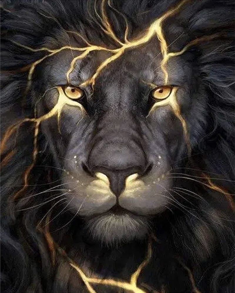 paintingnumberart Colorful Lions Animals – DIY Paint By Number