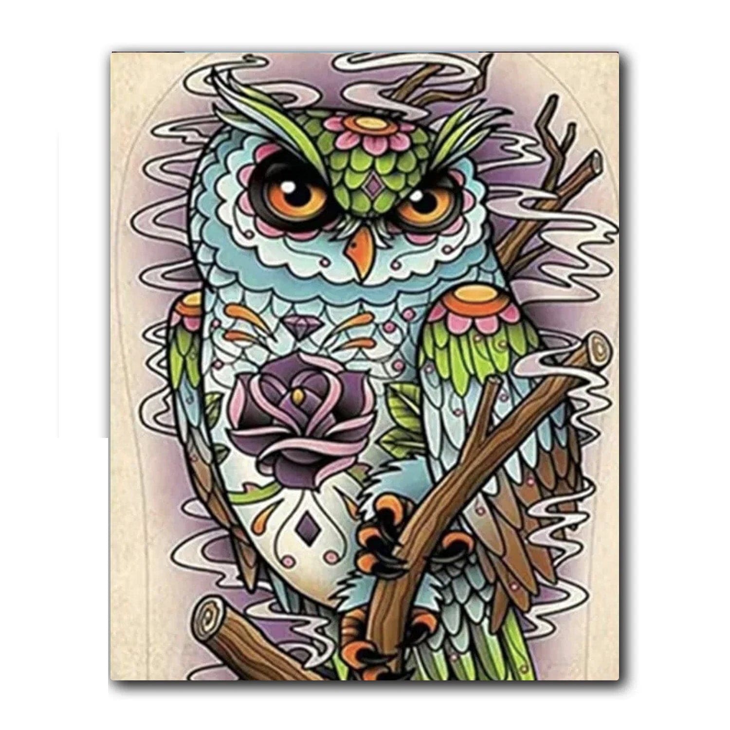 paintingnumberart Colorful Owl – Birds Paint By Number