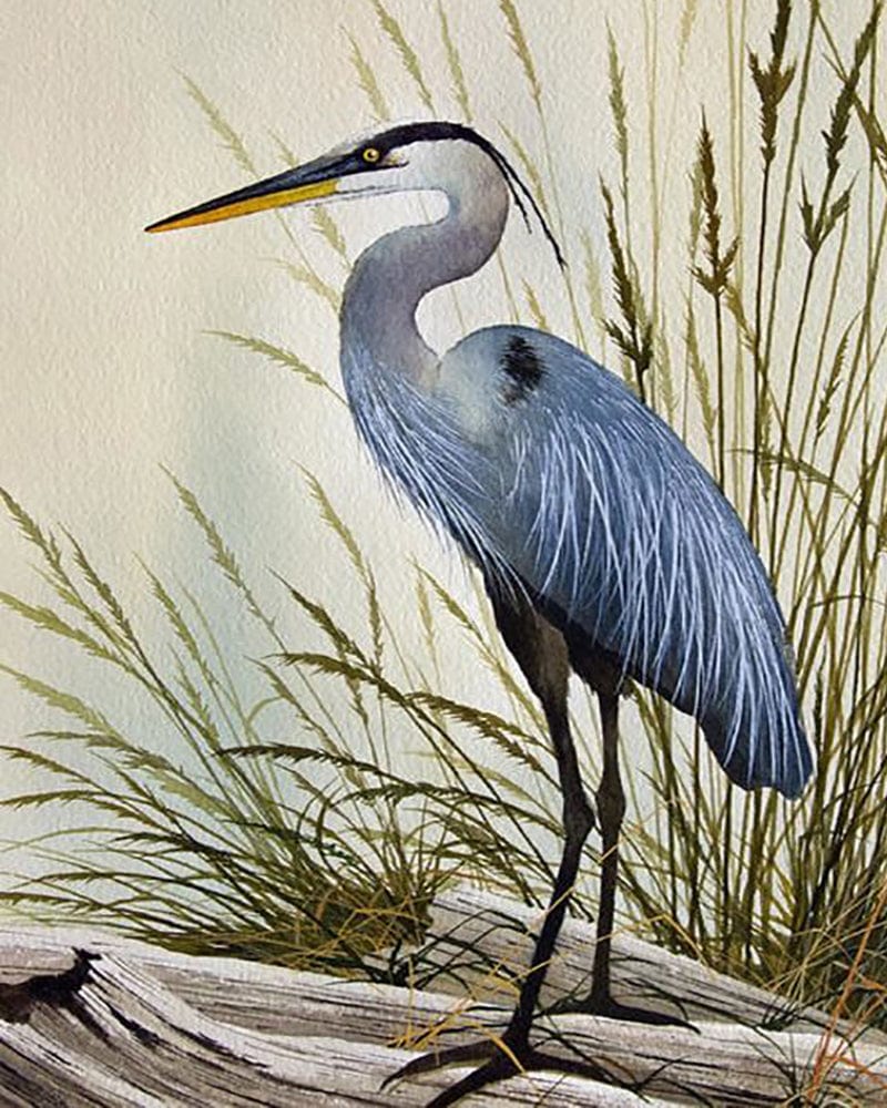 paintingnumberart Crane-Paint by Numbers Kit