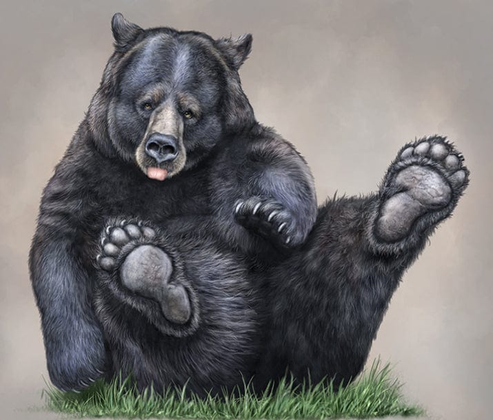 paintingnumberart Cute black bear– Paint By Number