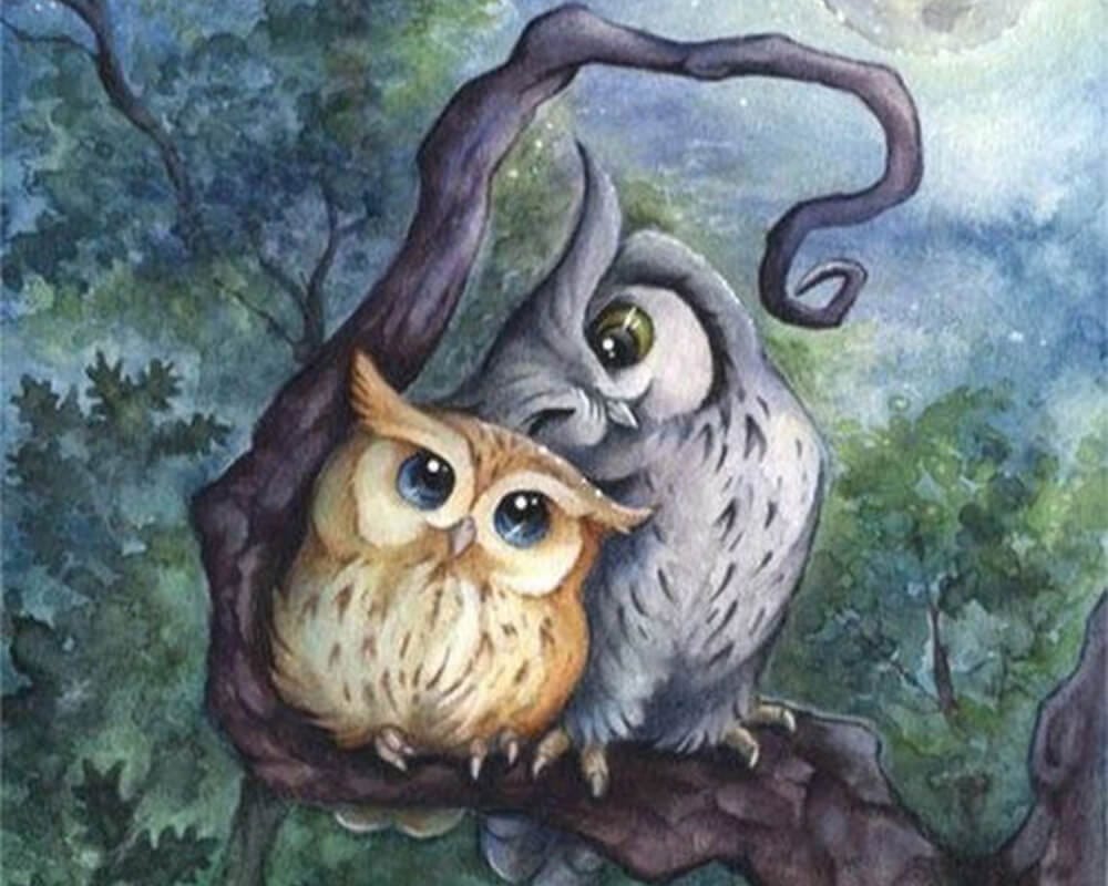 paintingnumberart Cute owls2-Paint by Numbers Kit