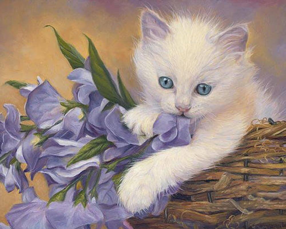 paintingnumberart Cute white cat-Paint by Numbers Kit
