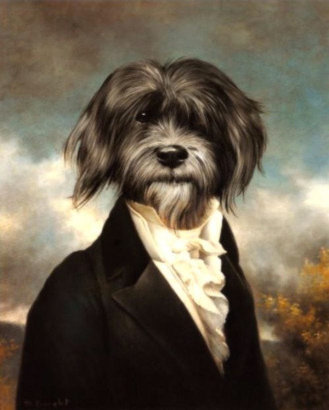 paintingnumberart Dog in clothes– Paint By Number