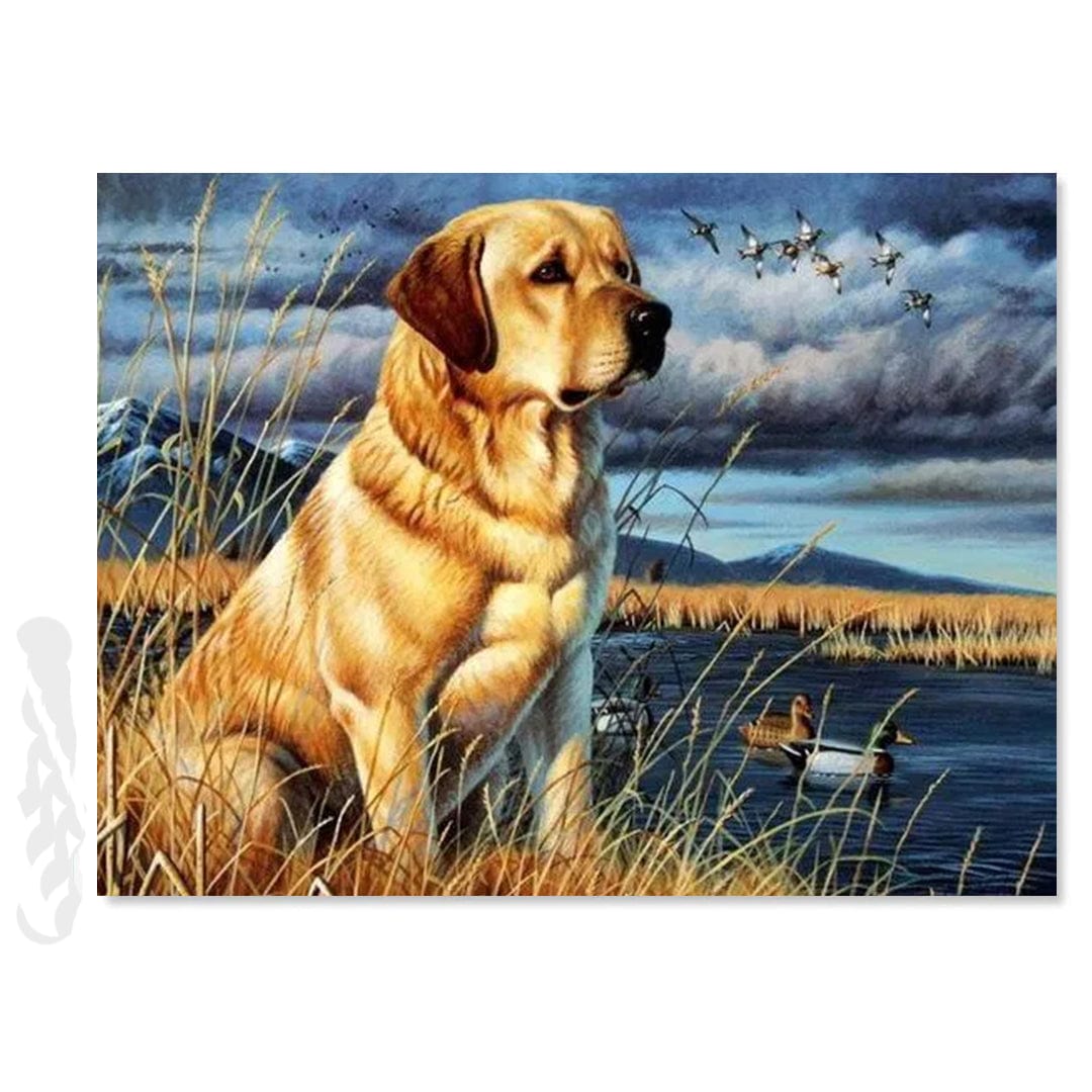 paintingnumberart Dog Next to Lake – Animals Paint By Number