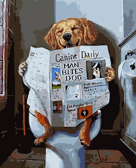 paintingnumberart Dog On Toilet – Animals Paint By Number