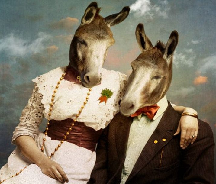 paintingnumberart Donkey couple– Paint By Number