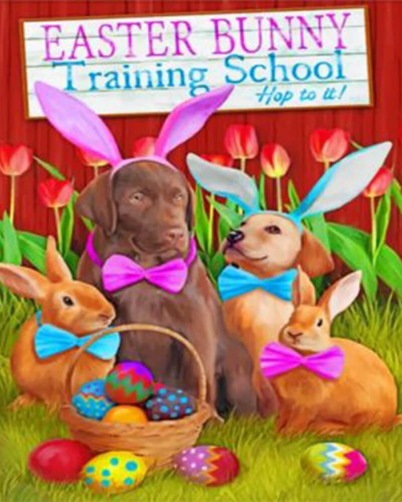 paintingnumberart Easter Bunny Training School – Paint By Numbers Kit