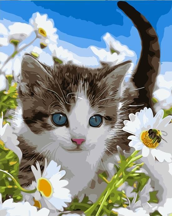 paintingnumberart Flowers cat – Animals Paint By Number
