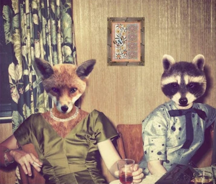 paintingnumberart Fox and panda brothers – Paint By Number