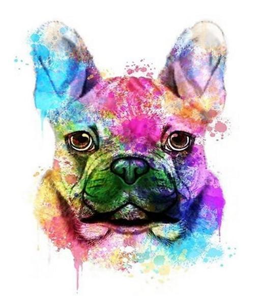paintingnumberart French Bulldog Colorful – Animals Paint By Number