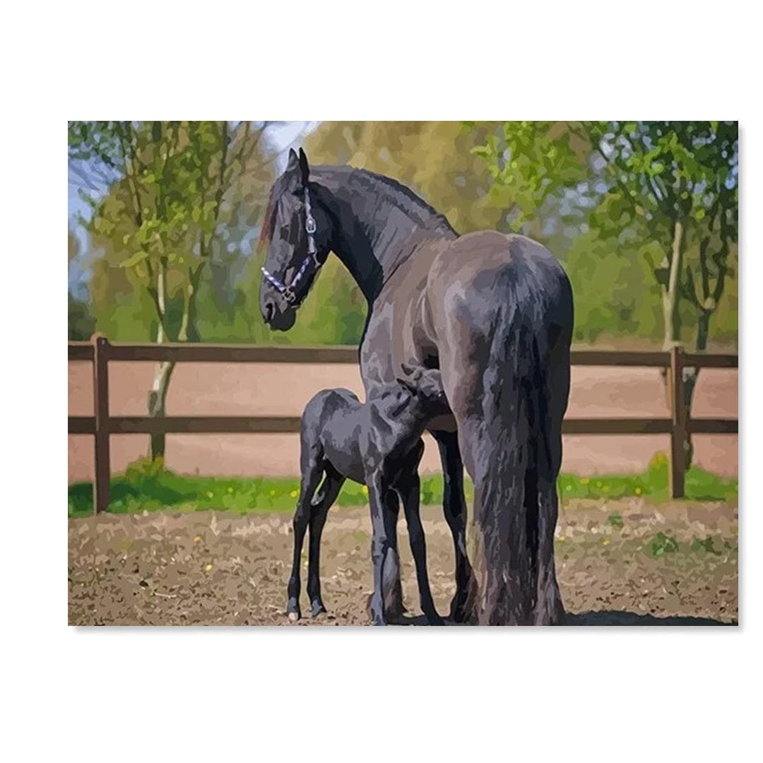 paintingnumberart Friesian Horses – NEW Paint By Numbers
