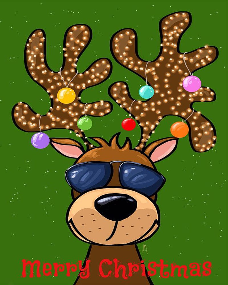 paintingnumberart Funny reindeer-Paint by Numbers Kit