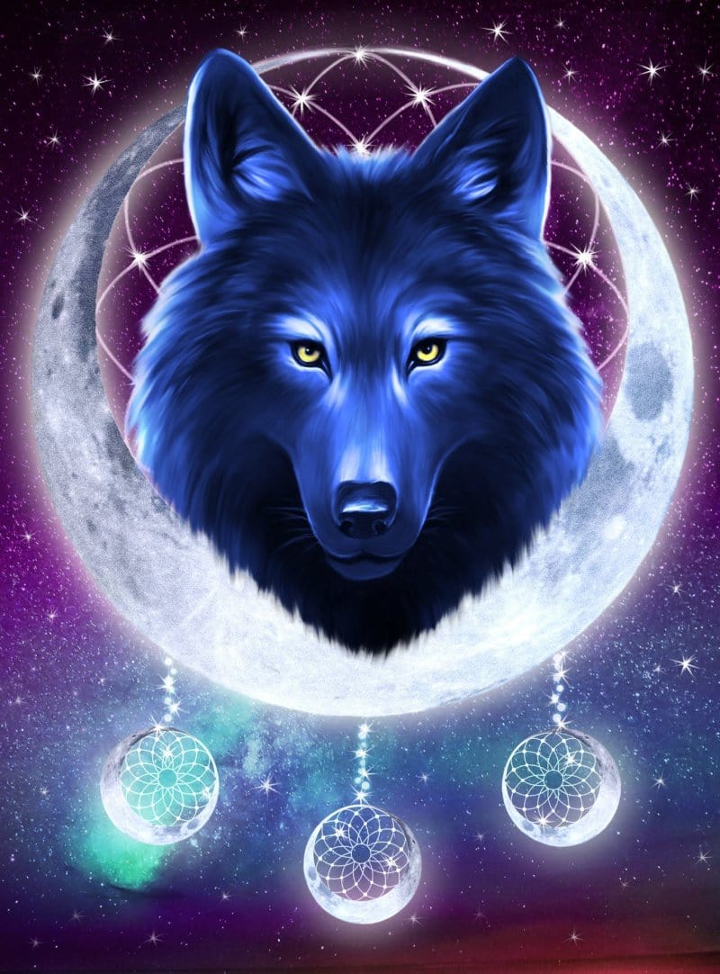 paintingnumberart Galaxy Wolf – Animals Paint By Number