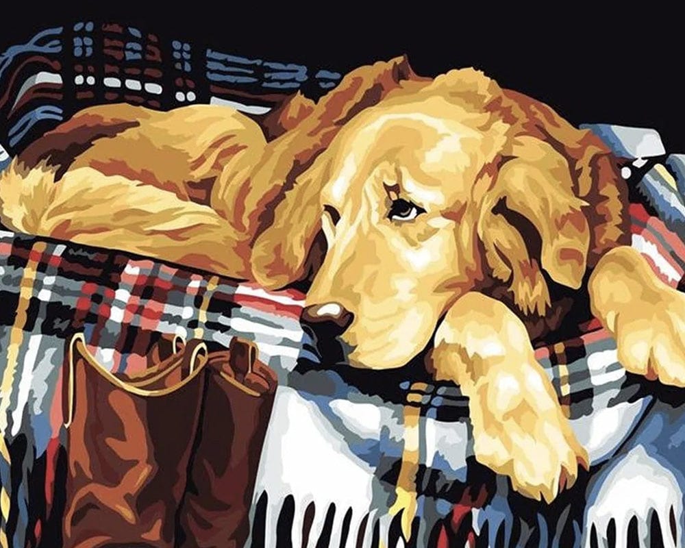 paintingnumberart Golden Retriever – Paint By Number Kit