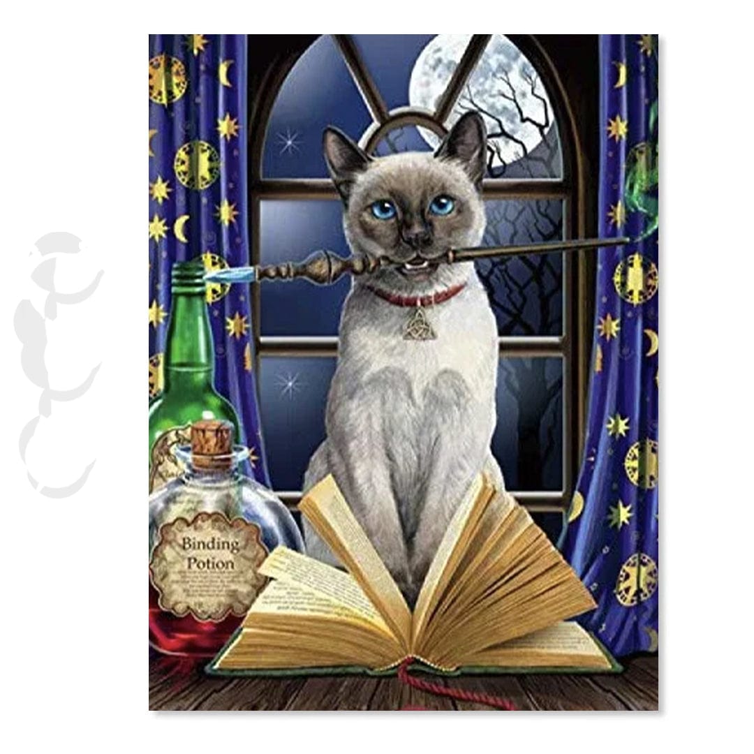 paintingnumberart Hocus Pocus Cat – Animals Paint By Numbers