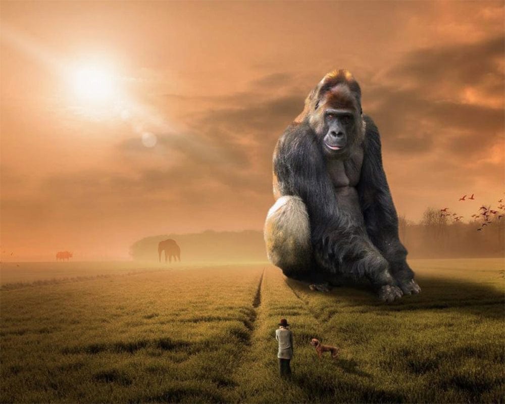 paintingnumberart Home / Animal Paint By Numbers Kit – King Gorilla