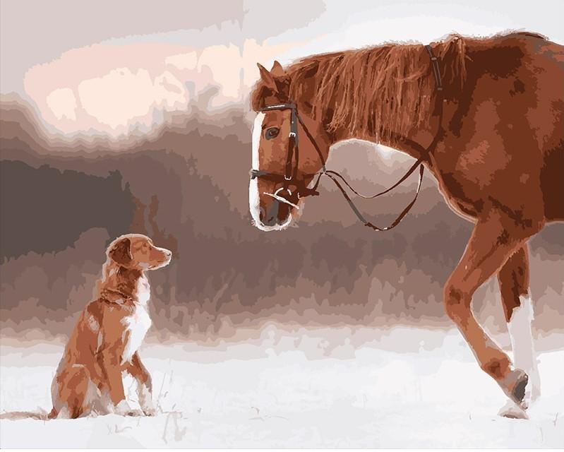 paintingnumberart Horse and Dog – Animals Paint By Number