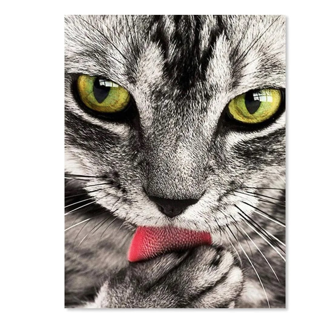 paintingnumberart Hungry Cat – Animals Paint By Number