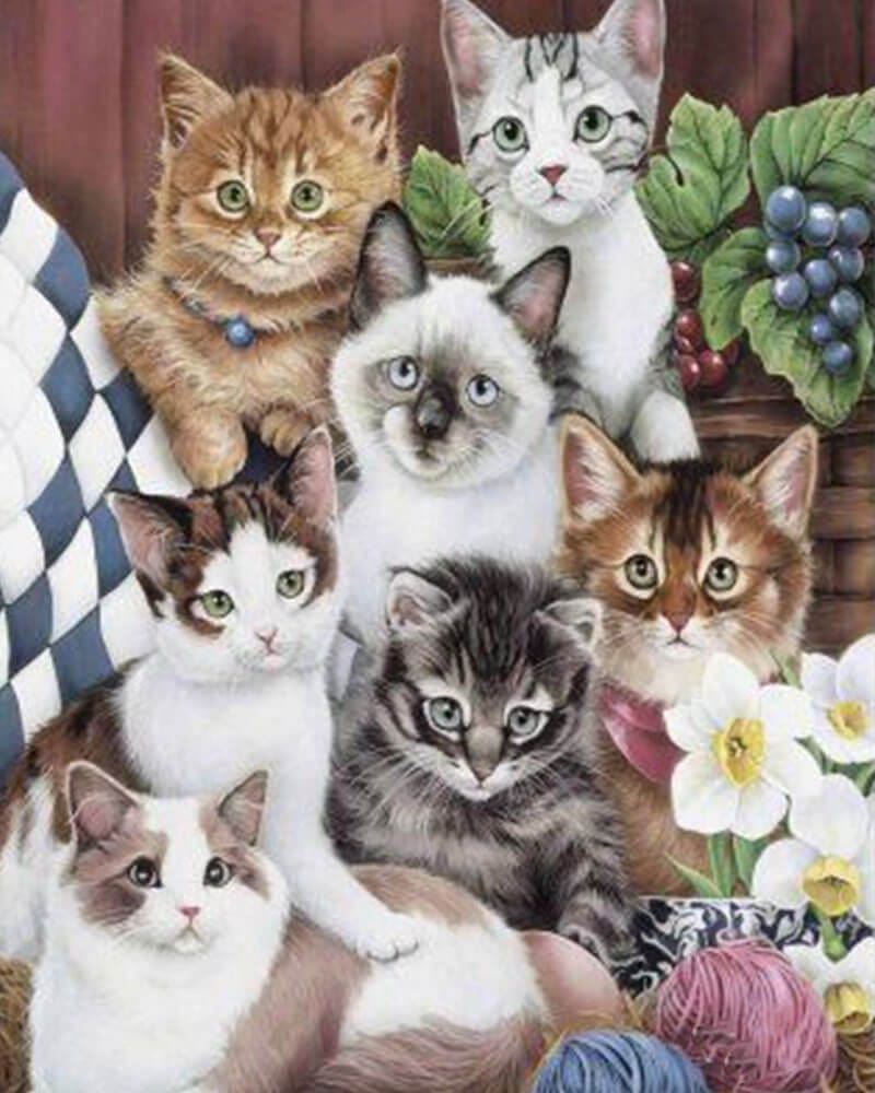 paintingnumberart Kitten family-Paint by Numbers Kit