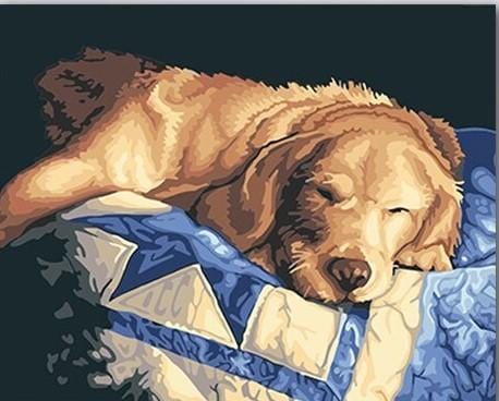 paintingnumberart Lazy Dog – Animals Paint By Number
