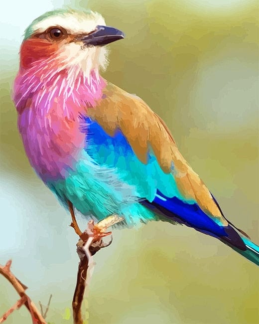 paintingnumberart Lilac-breasted Roller – NEW Paint By Numbers