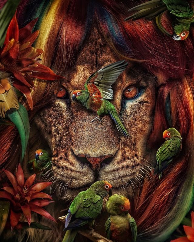 paintingnumberart Lions– Animals Paint By Number