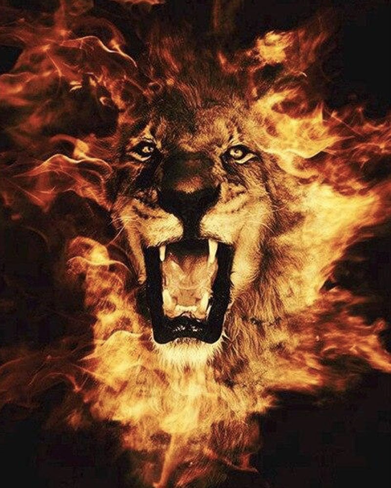 paintingnumberart Magnificent Lion – Animals Paint By Number