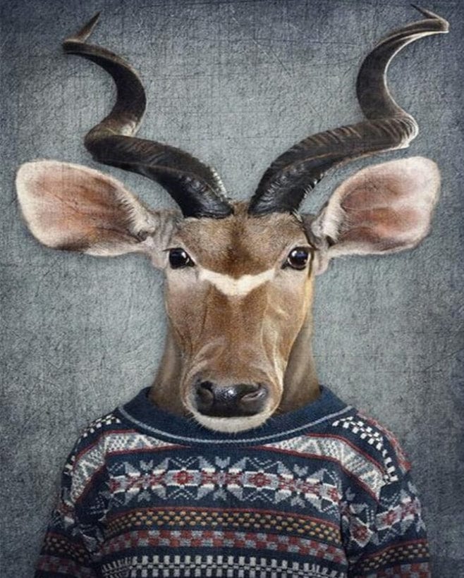 paintingnumberart Mr. Deer– Paint By Number