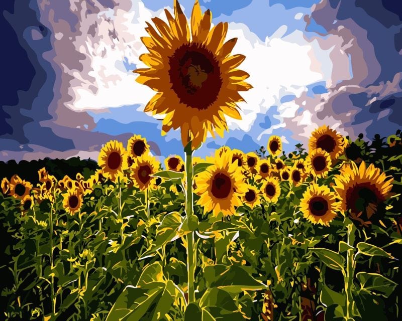 paintingnumberart Nature Sunflowers – Flowers Paint By Number