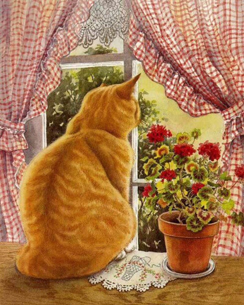 paintingnumberart Orange cat by the window-Paint by Numbers Kit