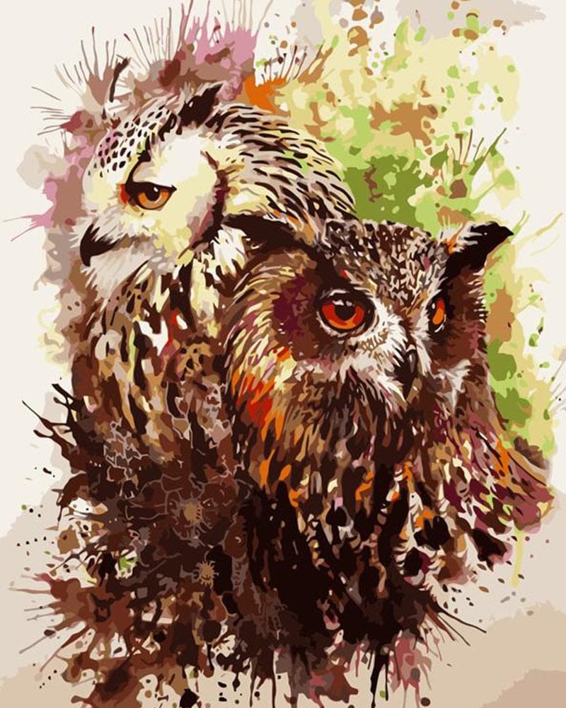 paintingnumberart Owl Lovers – Birds Paint By Number