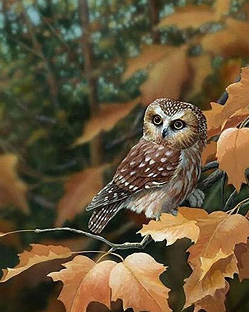 paintingnumberart Owl On leaves – Birds Paint By Number