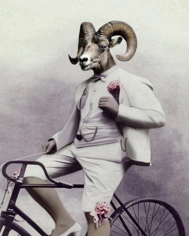 paintingnumberart Paint By Number —Goat on bike