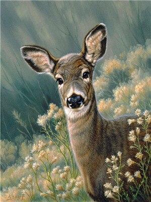 paintingnumberart Paint By Numbers Kit -Autumn Fawn Deer