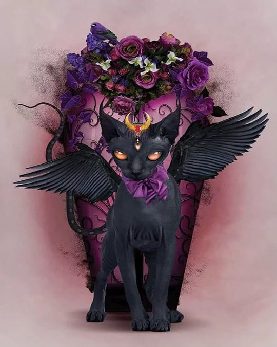 paintingnumberart Paint By Numbers Kit – Bastet