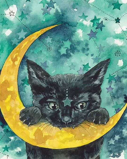 paintingnumberart Paint By Numbers Kit – Bewitched