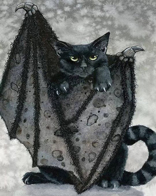 paintingnumberart Paint By Numbers Kit – Bewitched