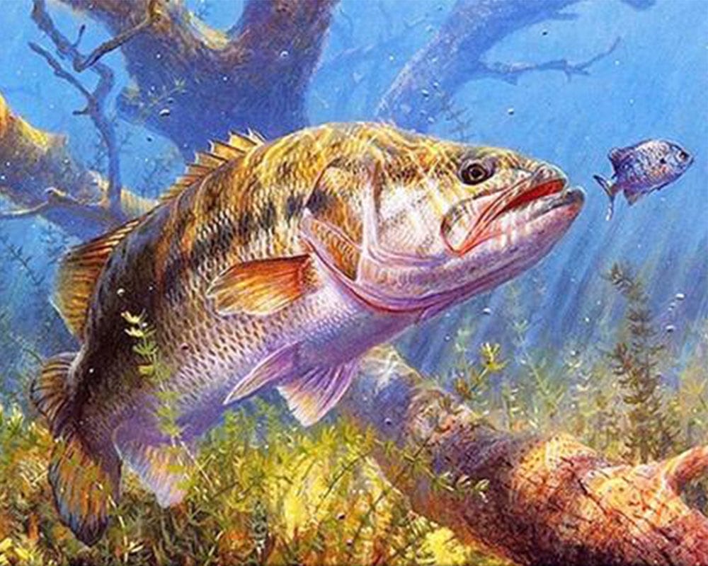 paintingnumberart Paint By Numbers Kit – Big Fish