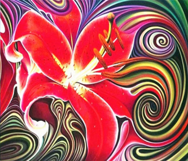 paintingnumberart Paint by Numbers Kit – big petal lucky flower