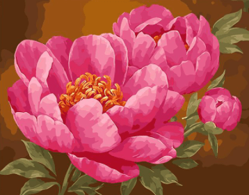 paintingnumberart Paint by Numbers Kit –   big Red flower